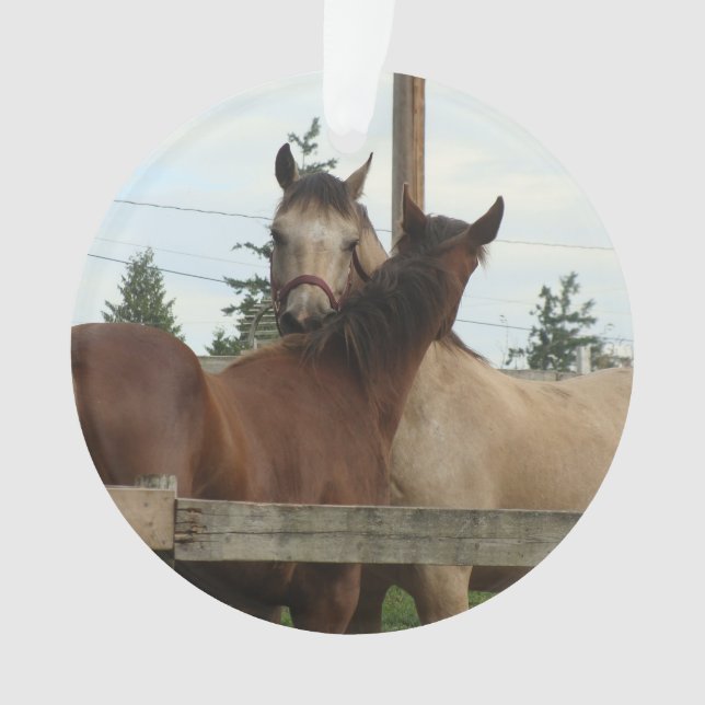 Horse Grooming Ornament (Front)