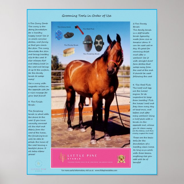Horse Grooming Tools and How to use them Poster (Front)