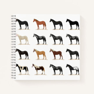 horse hair colour notebook