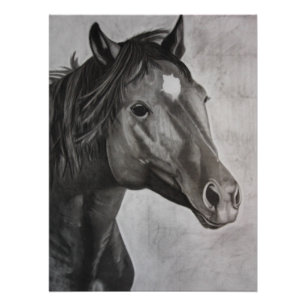 Horse Hand Drawn Art  Poster
