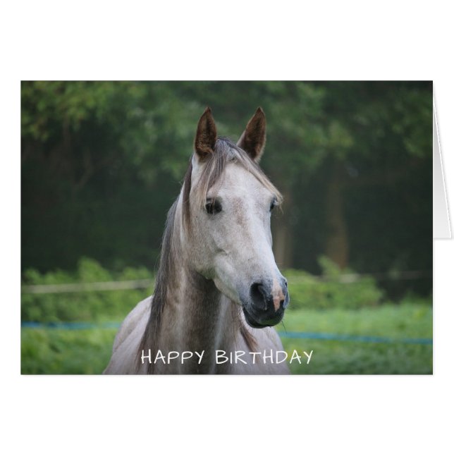 Horse Happy Birthday Card (Front Horizontal)