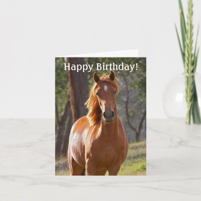 Horse Happy Birthday Card for Horse lovers (Front)
