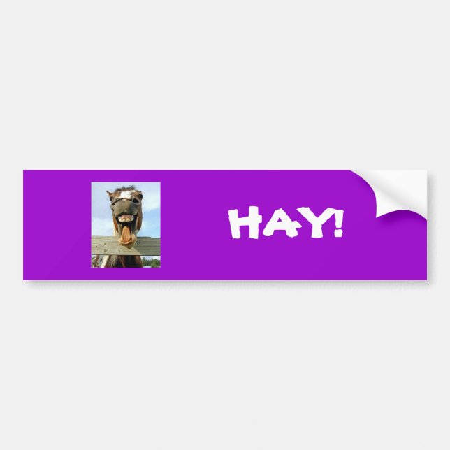 horse, HAY! Bumper Sticker (Front)
