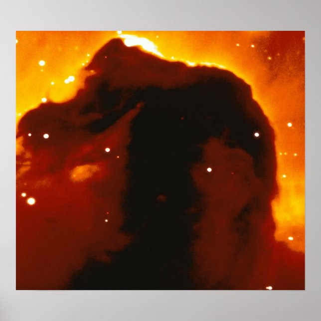 Horse-Head Nebula Poster (Front)