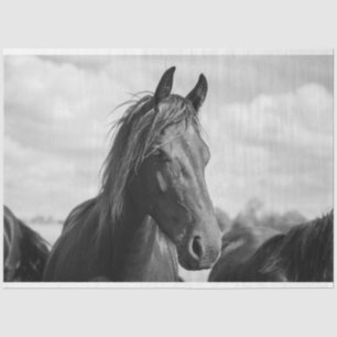 horse head tissue paper