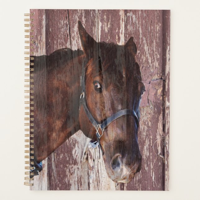 Horse head western riding. Look into his eyes. Planner (Front)