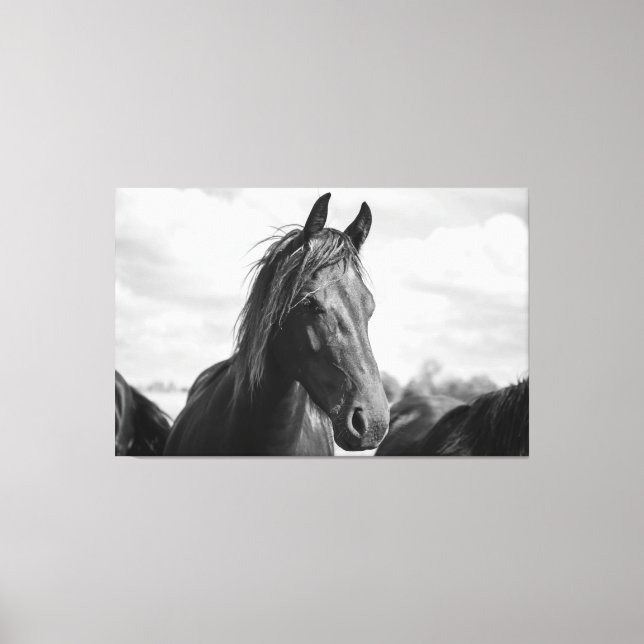 horse head wrapped canvas (Front)