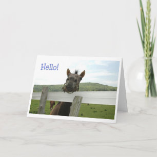 horse hello card