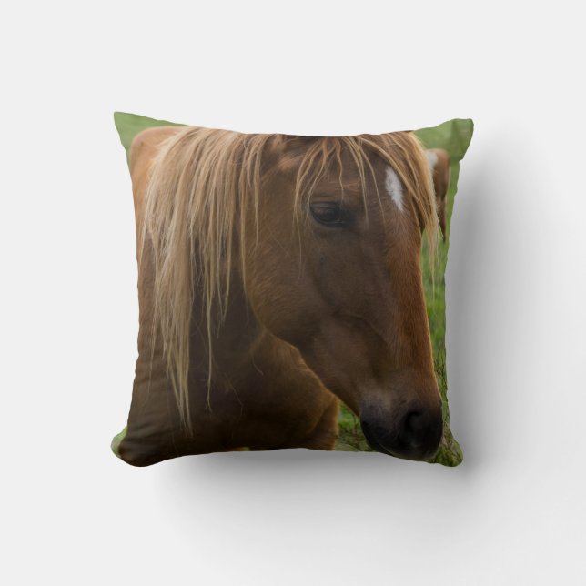 Horse Hello Cushion (Front)