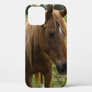 Horse Hello iPhone Case