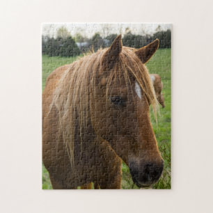 Horse Hello Jigsaw Puzzle