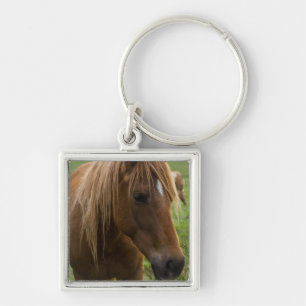 Horse Hello Key Ring