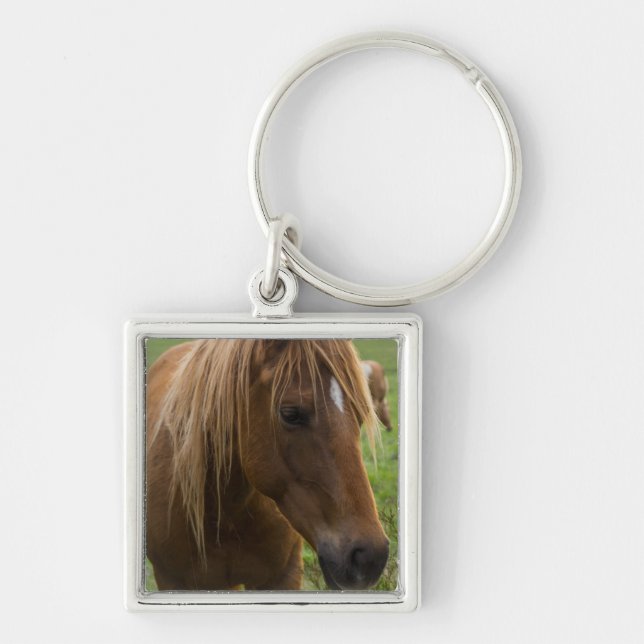 Horse Hello Key Ring (Front)