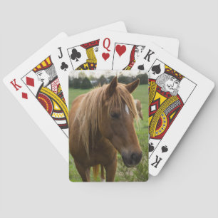 Horse Hello Playing Cards