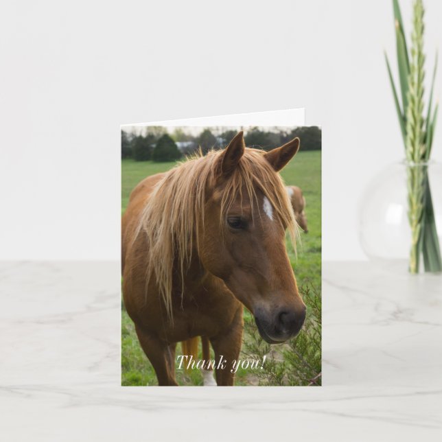 Horse Hello Thank You Card (Front)