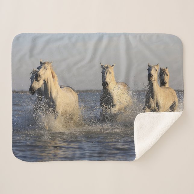 horse herd blanket (Front (Horizontal))