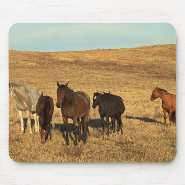 Horse Herd in the West Mouse Pad (Front)