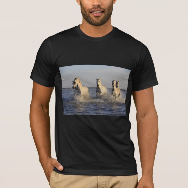 horse herd T-shirt (Front)