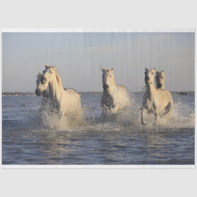 horse herd tissue paper (Front)