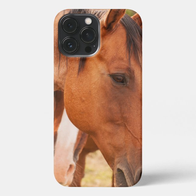 Horse Hiding Behind Horse iPhone Case (Back)
