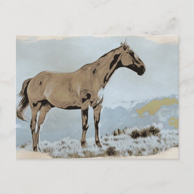 *~* Horse - Hill Mountains AR22 Equine Western Postcard (Front)