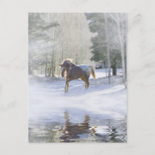 Horse Holiday Postcard