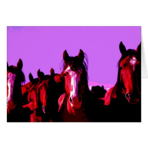 Horse - Horses