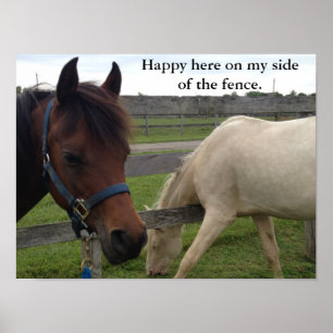 Horse Humour: Happy Here On My Side Of The Fence Poster