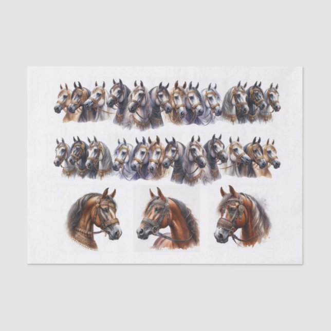 Horse Illustrations including Two Long Rows Tissue Paper (Front)