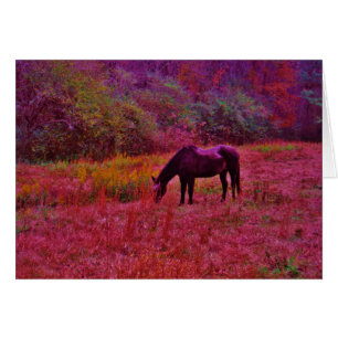 Horse in a Kaleidoscope Coloured Field