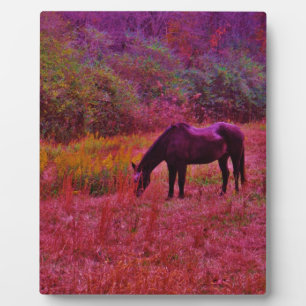 Horse in a Kaleidoscope Coloured Field Plaque