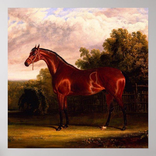 Horse In A Landscape Poster (Front)