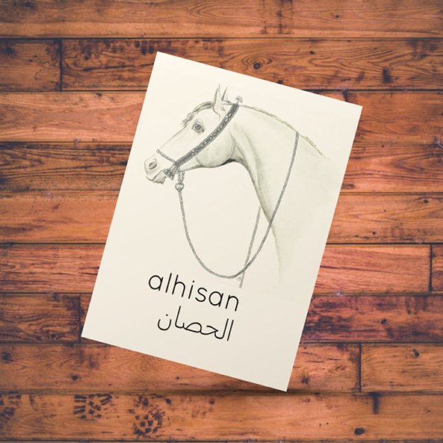 Horse  in  Arabic - vintage illustration Postcard (Creator Uploaded)