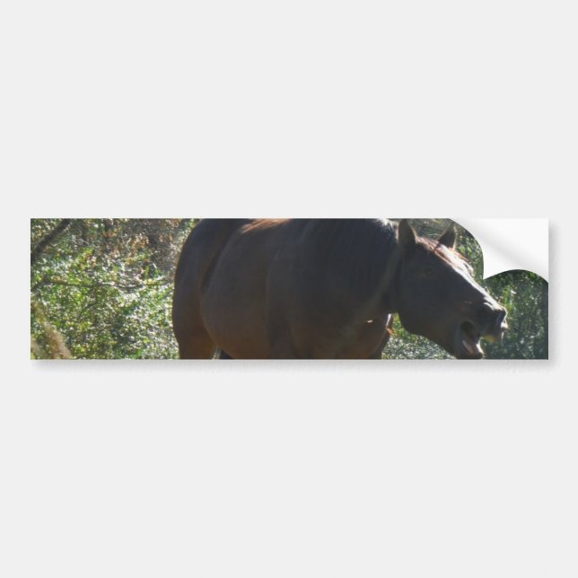 Horse in Autumn Bumper Sticker (Front)