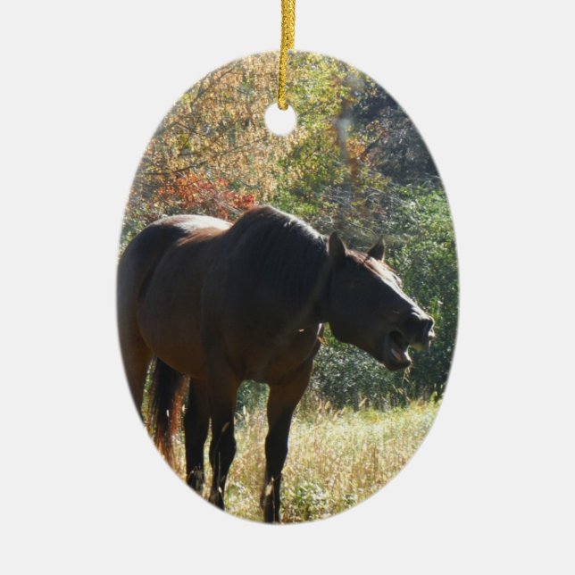 Horse in Autumn Ceramic Tree Decoration (Front)