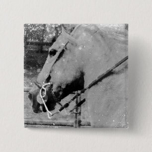 Horse in Black and White 15 Cm Square Badge