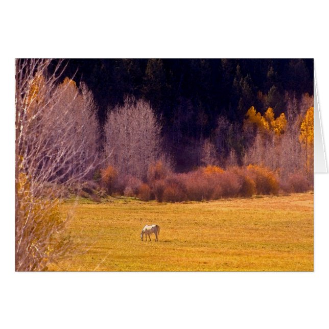 Horse In Fall I (Front Horizontal)