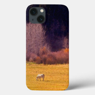Horse In Fall I iPhone 13 Case