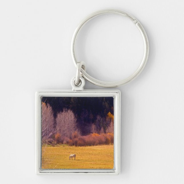 Horse In Fall I Key Ring (Front)