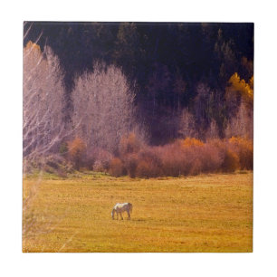 Horse In Fall I Tile