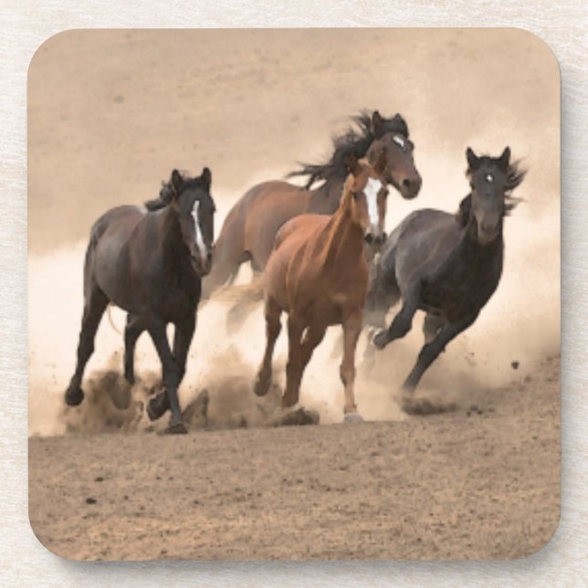 Horse In Fall II Coaster (Front)