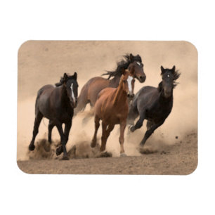 Horse In Fall II Magnet