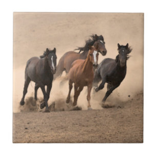 Horse In Fall II Tile