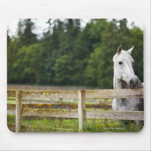 Horse in field looking over fence mouse pad