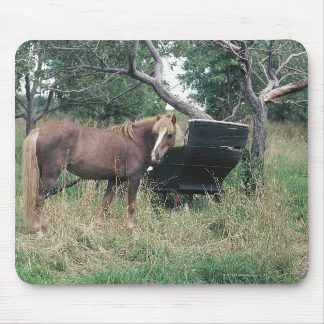 Horse in field with buggy mouse pad (Front)