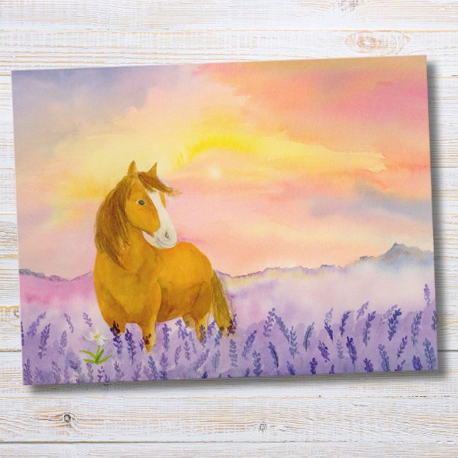 Horse in Lavender Field During Sunset  Postcard (Creator Uploaded)