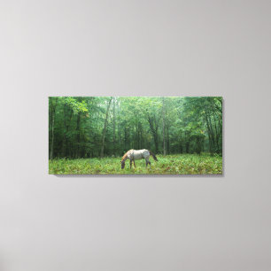 Horse in Meadow Canvas Print