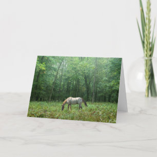 Horse in Meadow Card