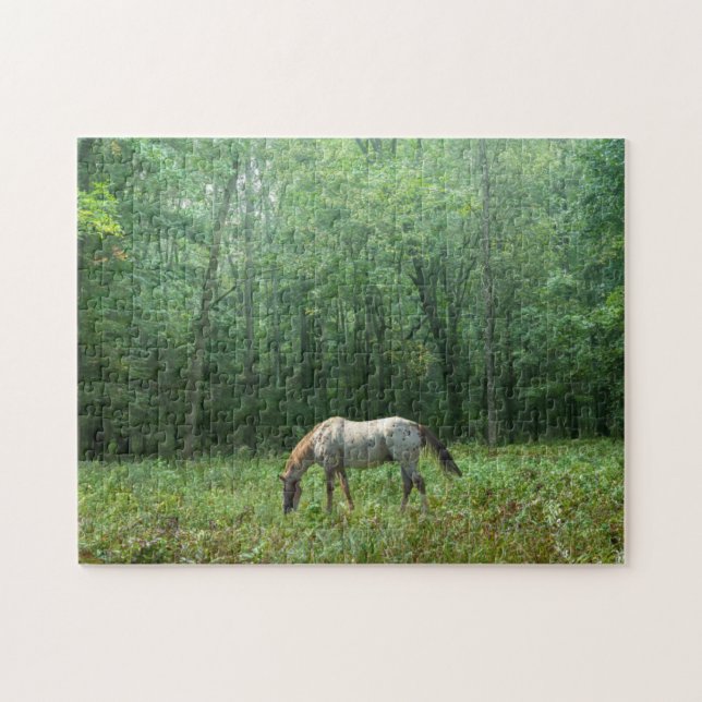 Horse in Meadow Jigsaw Puzzle (Horizontal)