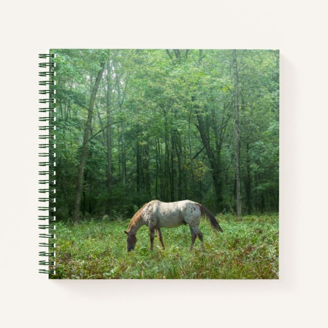 Horse in Meadow Notebook (Front)